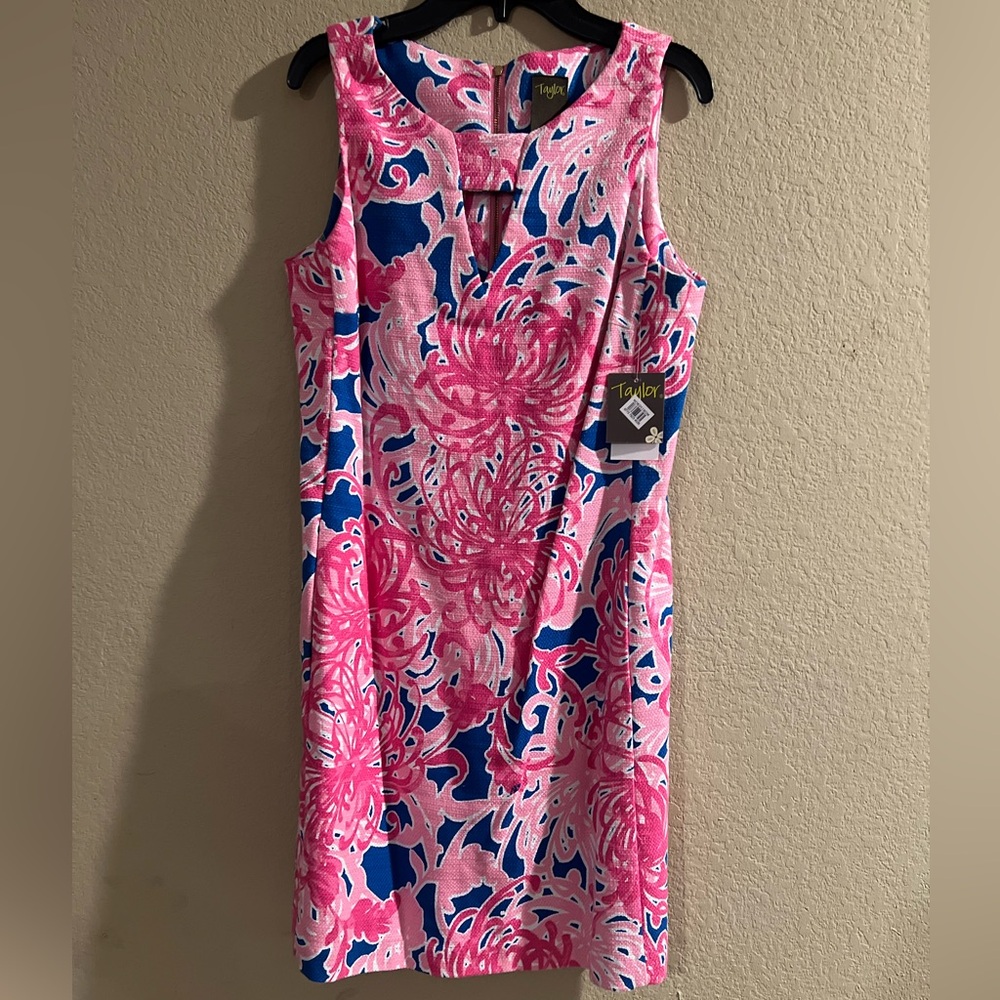 Taylor Women's Pink and Blue Floral Midi Dress